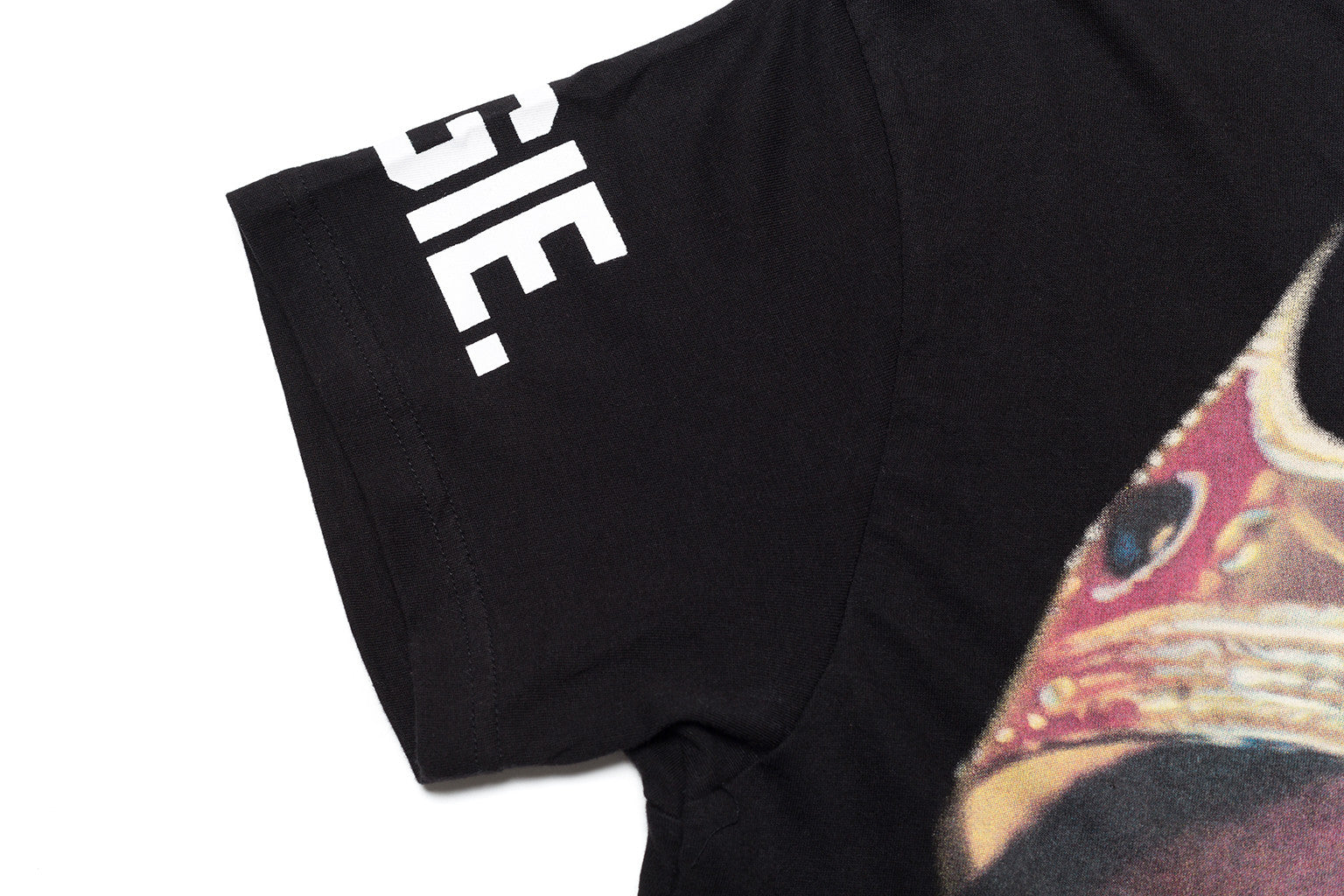 Pigy M T-Shirt - Eleven Paris - T-Shirt - TOPGEARNY