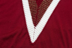 V Neck - Stripped Bordeau - Nude - Sweater - TOPGEARNY