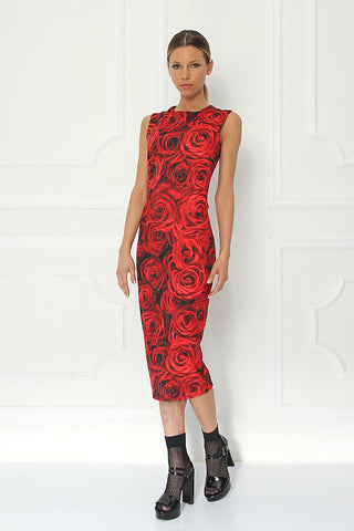 Sirine Printed Sleeveless Fitted Dress - Sugarbird - Dress - TOPGEARNY