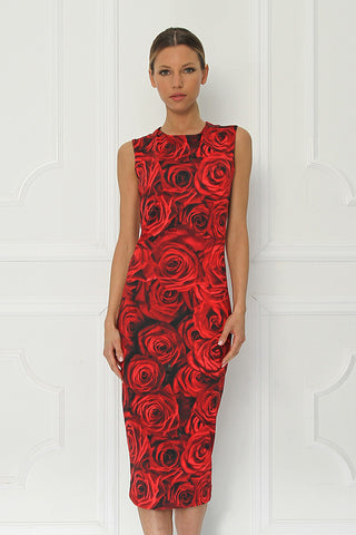 Sirine Printed Sleeveless Fitted Dress