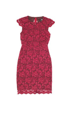 Body Con Lace Dress W/ Sheer Back - A.B.S. - Dress - TOPGEARNY