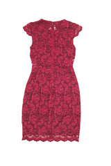 Body Con Lace Dress W/ Sheer Back - A.B.S. - Dress - TOPGEARNY