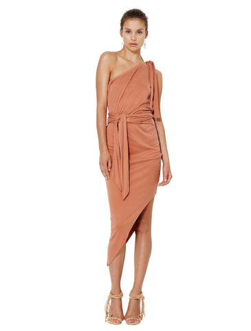 Delphine Asymmetrical Dress - Bec & Bridge - Dress - TOPGEARNY